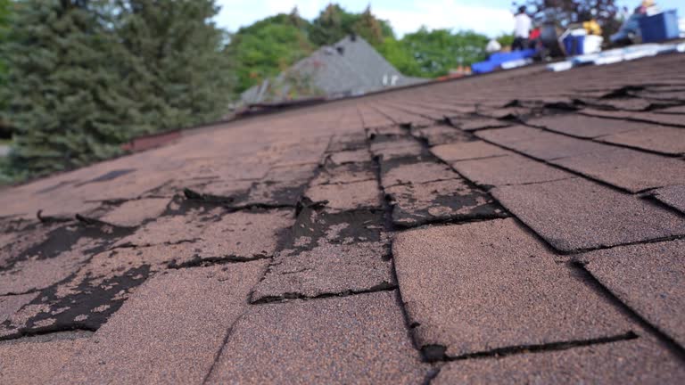 Best Emergency Roof Repair Services  in Ridgemark, CA