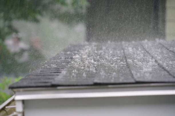 Best Cold Roofs  in Ridgemark, CA
