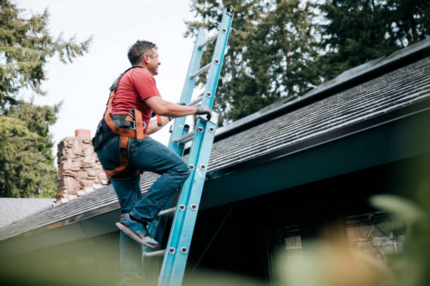 Best Asphalt Shingle Roofing  in Ridgemark, CA