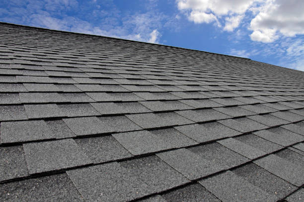 Best Roof Coating and Sealing  in Ridgemark, CA