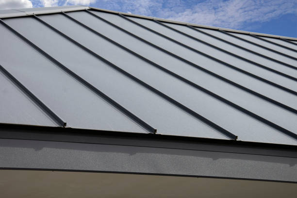 Best Skylight Installation and Repair  in Ridgemark, CA