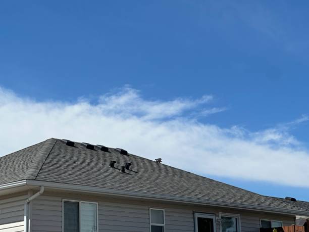 Best Roof Insulation Installation  in Ridgemark, CA